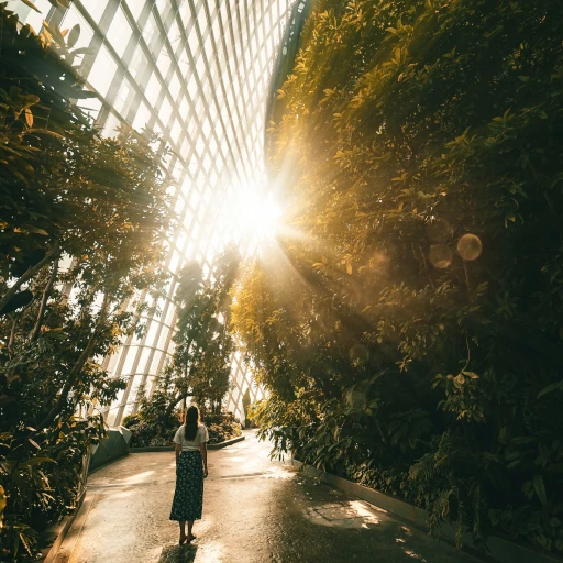 A lady standing in front of the sun in Garden by the Bay Flower Dome.